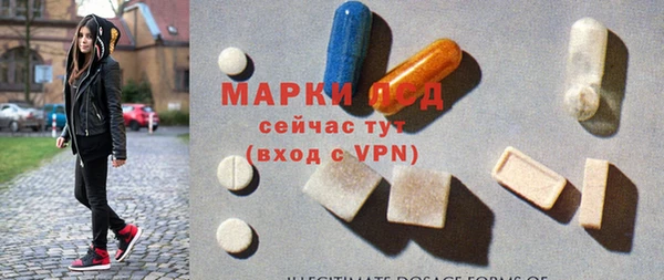 прущие грибы Белоозёрский