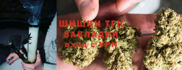 прущий лед Бородино