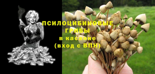 MDMA Богданович