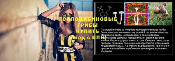 прущий лед Бородино