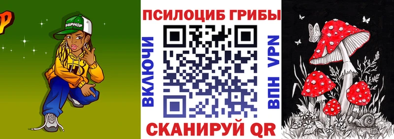 Псилоцибиновые грибы Cubensis  купить закладку  МЕГА ссылки  Сретенск 